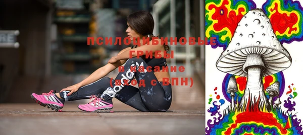 прущие грибы Кукмор