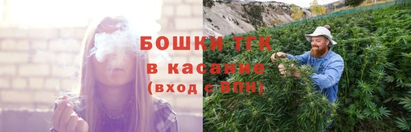 прущие грибы Кукмор