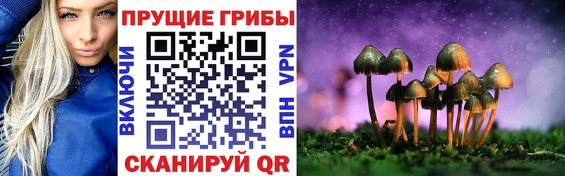 купить наркотик  это телеграм  Галлюциногенные грибы Cubensis  Михайловка 