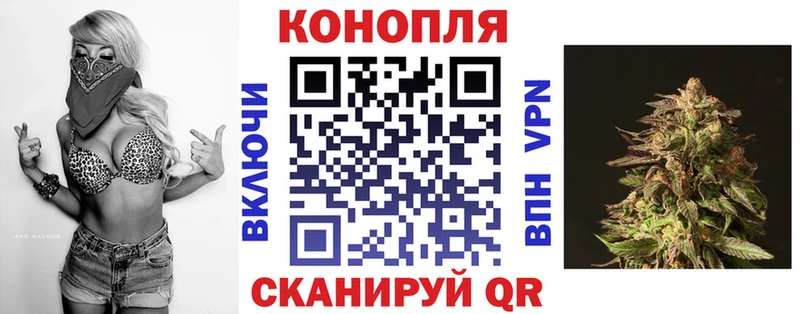 Каннабис сатива  нарко площадка официальный сайт  Михайловка 